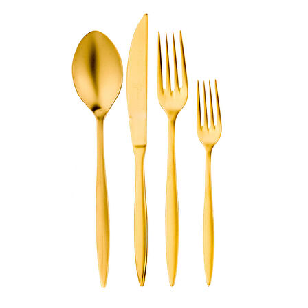 Aryıldız Noble 24 Parça Çatal Kaşık Bıçak Takımı  Mat Gold Pvd